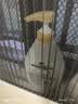 多芬乳木果丰盈宠肤沐浴乳730g 男女持久留香沐浴露京东自营 实拍图