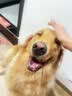 MAG【警犬同款】狗狗鲨鱼软骨素700g/囤货装 成年老年犬宠物专用 实拍图