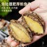 德叔鲍鱼无壳鲍鱼肉100g（约10粒）鲜活鲍鱼加工火锅烧烤食材海鲜生鲜 实拍图