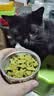 网易严选猫用薄荷饼干宠物幼猫成猫猫咪零食饼干薄荷味 95克 实拍图