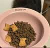 LEGENDSANDY蓝氏狗粮真鲜乳鸽中小型犬泰迪比熊生骨肉冻干鲜肉犬粮1.5kg*6包 实拍图