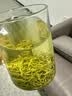 乐品乐茶高山绿茶浓香耐泡高性价比口粮茶特级明前春茶 500g自饮2026新茶 实拍图
