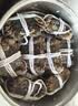【活蟹】湖鲜阳澄 大闸蟹 去绳足重 全母蟹2.0-2.3两 8只 鲜活超大螃蟹生鲜海鲜礼盒装 实拍图