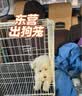 憨憨宠狗笼中小型犬狗笼子大猫笼带厕所加粗折叠宠物笼子柯基笼幼犬狗笼 加粗狗笼 银色 71*60*50cm 建议25斤内 带托盘式厕所+防卡脚垫片 实拍图