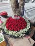 来一客情人节鲜花速递99朵红玫瑰花束生日礼物表白送女友全国同城配送 99朵红玫瑰女神款 实拍图
