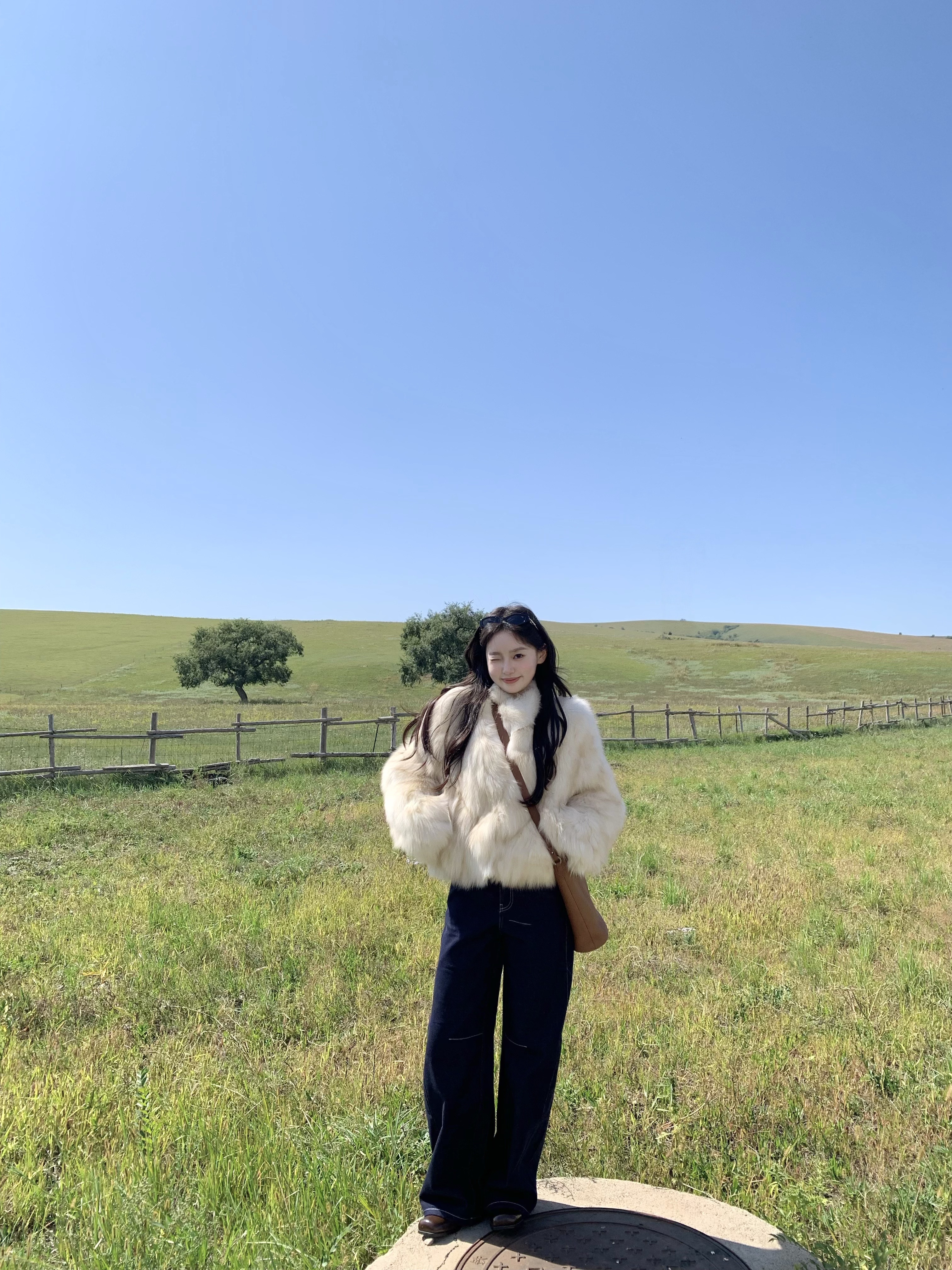 MSBEAST野兽小姐 高实穿度立领正肩时髦双色白狐坎毛皮草外套丨首尔月光 月光浅金-双色晕染 M 实拍图