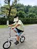 大行（DAHON） 412折叠自行车14英寸单速超轻迷你铝合金学生成人单车BYA412 白色 实拍图