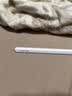 Apple/苹果 Pencil Pro 磁吸触控笔手写笔苹果笔电容笔书写绘画iPad笔 适用于iPad Pro/Air/mini机型 实拍图