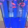 森森（SUNSUN）鱼缸增氧泵水族箱氧气泵家用小型充氧泵 【二代更静】4W单孔+全套配件 实拍图