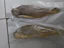 鲜京采 冷冻三去黄花鱼(宁德大黄鱼)1700g(5条装)节庆礼盒 京东自有品牌 实拍图