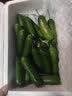 京鲜生 山东精品嫩水果黄瓜 净重4斤 单根70g+ 荷兰小青瓜 源头直发 实拍图