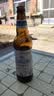 青岛啤酒（TsingTao）精酿白啤全麦原麦汁浓度10°P  500ml*12瓶整箱装 国庆出游 实拍图