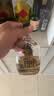 津酒扁凤壶 浓香型白酒 52度 500ml*6 整箱装 天津特产送礼送长辈 实拍图