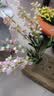 京东鲜花铃兰花8支仿真花客厅轻奢高端花束乔迁装饰花艺插花餐桌假花高档 实拍图