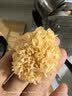 菌心鲜 椴木小银耳350g 云南特产干货鲜炖银耳羹雪耳糯莲子煲汤易出胶 实拍图