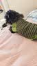 皇家狗粮 成犬狗粮 犬粮 宠物小型犬 PR27 全价犬粮≥10月8KG 实拍图