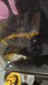 Orijen渴望猫粮 成猫幼猫粮 全价通用无谷原味鸡肉进口1.8kg效期27/9 实拍图