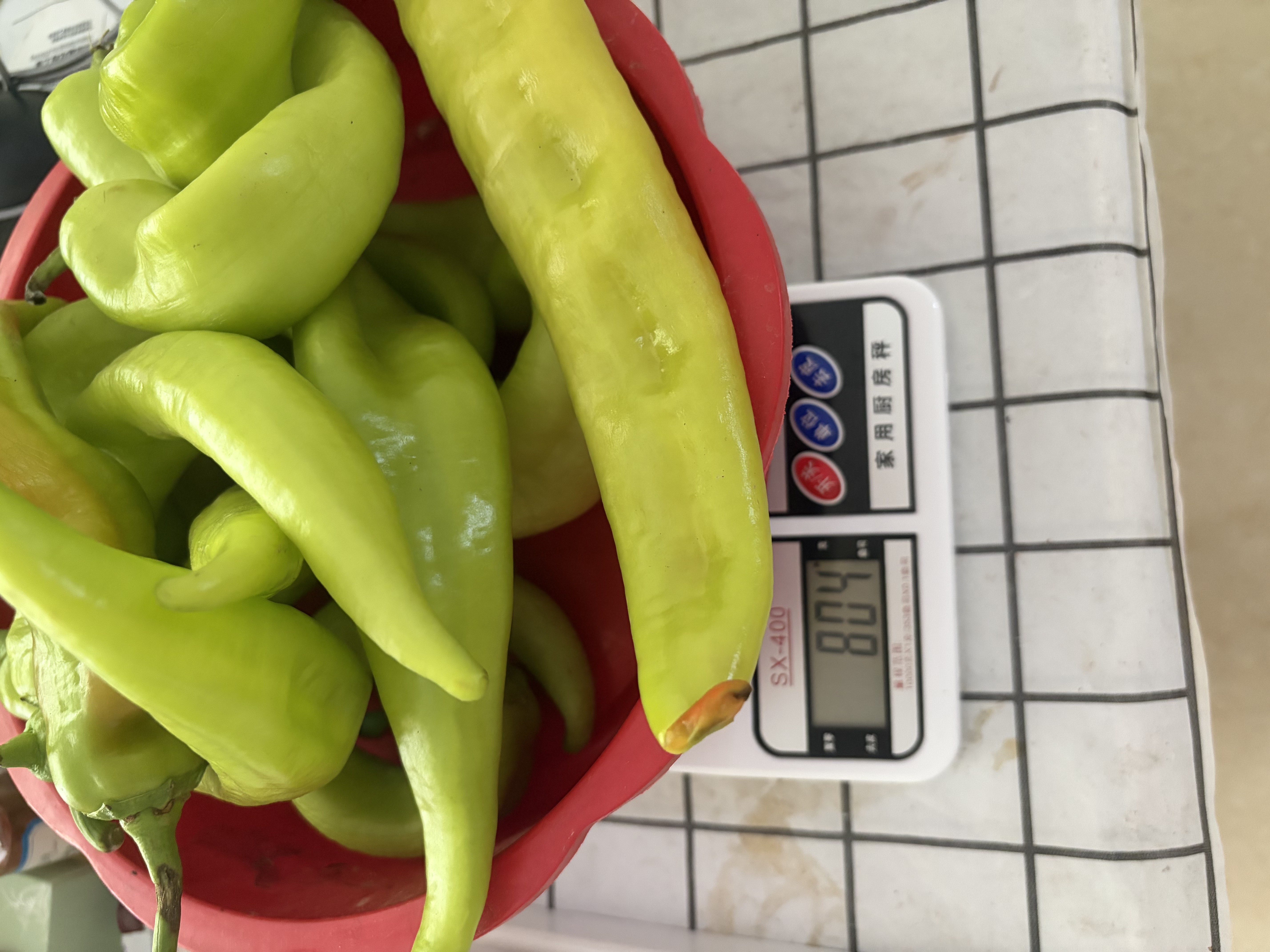 【东东买菜】新鲜青椒现摘薄皮辣椒尖椒羊角椒虎皮辣椒农家自种 尝鲜净重400g 实拍图