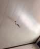 佛山照明LED灯泡Ra97显节能球泡豁免级蓝光E27大螺口光源15W白光 实拍图