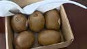 佳沛（zespri）新西兰金奇异果猕猴桃 5粒装 单果约88-103g 水果源头直发 实拍图
