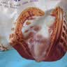 广州酒家核桃包750g 20个早餐半成品早茶点心包子面点食品生鲜速食美食 实拍图