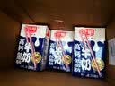 光明高钙低脂肪牛奶250ml*24盒 3.2g蛋白量贩装整箱送礼京东自营 实拍图