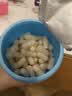 小鹿蓝蓝婴幼儿泡芙条鲜虾味宝宝零食手指泡芙辅食条饼干吸口水42g 6月+ 实拍图