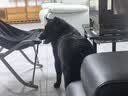 小天鹅（LittleSwan）滚筒洗衣机全自动家用 带烘干洗烘一体 10KG TD10V28T 纯平自由嵌 国家补贴京东自营 超级补贴家电 实拍图
