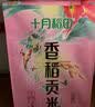 十月稻田 香稻贡米 东北大米 10斤（香米 粳米 5kg/公斤） 实拍图