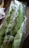 七鲜24小时油麦菜300g 实拍图