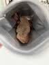 生生不息宠物零食猫犬通用 冻干猪心80g 实拍图