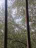 博冠（BOSMA）乐观3代8x25ED口袋长焦镜头单筒望远镜平场澜系玻璃高清微光夜视 实拍图