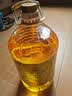 金龙鱼 食用油 非转基因 物理压榨玉米油6.18L（蕴含植物甾醇） 实拍图