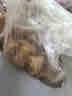 1号会员店（One's Member）精修中段猪尾巴2斤 不含尾尖猪尾巴猪肉生鲜卤味红烧炖煮煲汤 实拍图