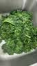 新鲜羽衣甘蓝生鲜蔬菜嫩叶云南甘兰芥蓝西餐沙拉榨汁减脂直播间 云南羽衣甘蓝分享4斤净重 实拍图