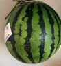 【产地直采】麒麟西瓜1粒约4.5kg 实拍图