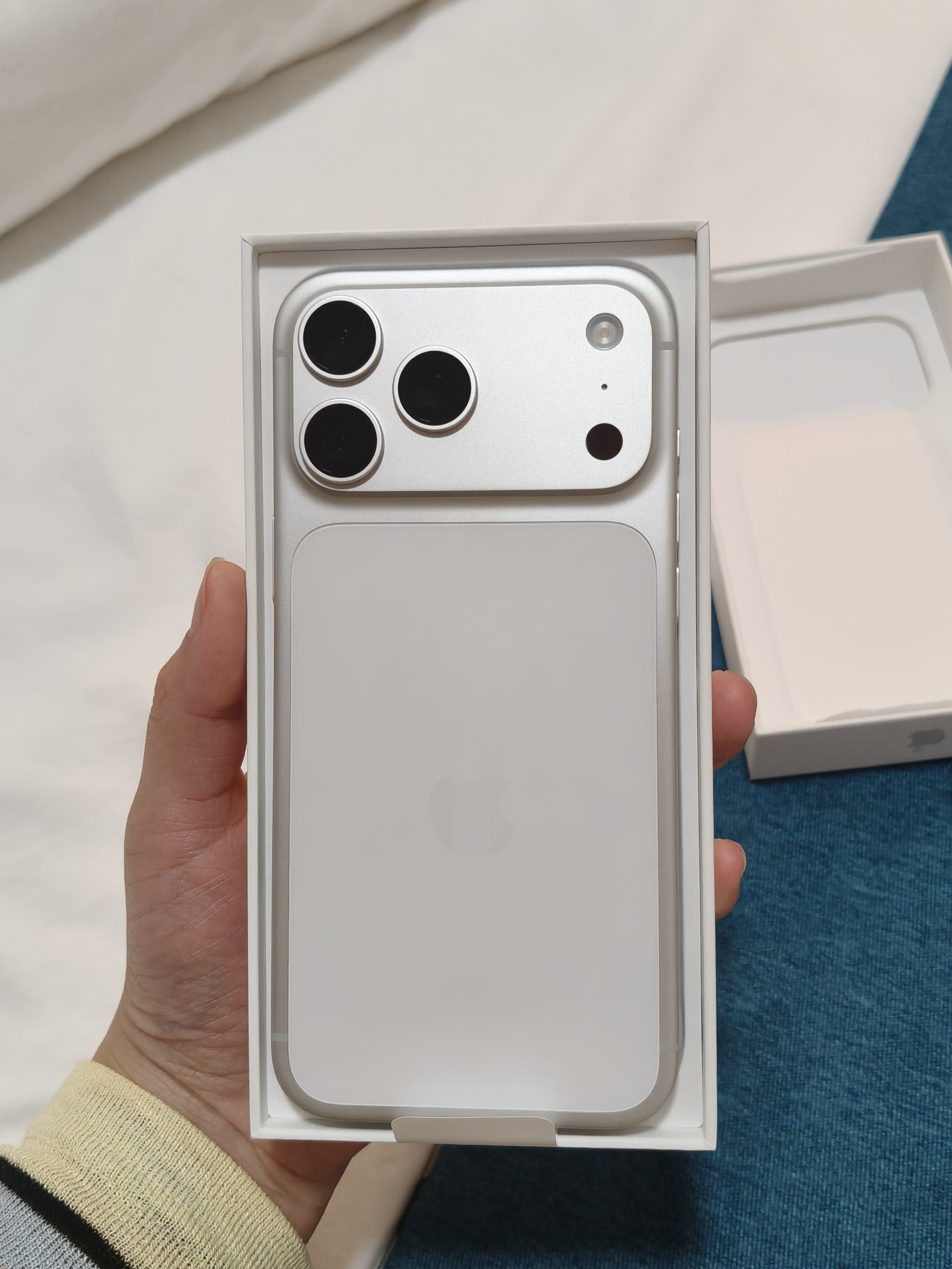 Apple/苹果【中秋好礼】iPhone 17 Pro Max 256GB 银色 移动联通电信5G 双卡双待手机 送礼好物 实拍图