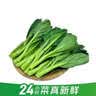 七鲜24小时菜心 300g 实拍图