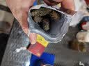 皇纯【威海产地】优选淡干海参50g7-12只 干货底播刺参 源头直发包邮 实拍图