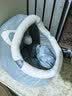 喵仙儿猫窝四季通用狗窝蒙古包猫屋保暖小型犬宠物用品 L码升级款 实拍图