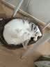 皇家猫粮 幼猫猫粮 幼猫奶糕 K36 通用粮 锁鲜 4-12月 4.5KG*2 实拍图