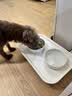HELLOJOY猫碗狗碗陶瓷猫狗食盆猫咪饭碗喝水碗粮碗双碗不易打翻 宠物餐桌 实拍图