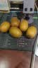 佳沛（zespri）新西兰金奇异果猕猴桃 5粒装 单果约88-103g 水果源头直发 实拍图