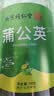 南京同仁堂正宗蒲公英叶茶70g特级野生婆婆丁茶养生茶中药材花草茶清热 实拍图