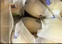 港荣蒸蛋糕淡糖450g小面包蛋糕早餐糕点甜品零食下午茶礼品盒 实拍图