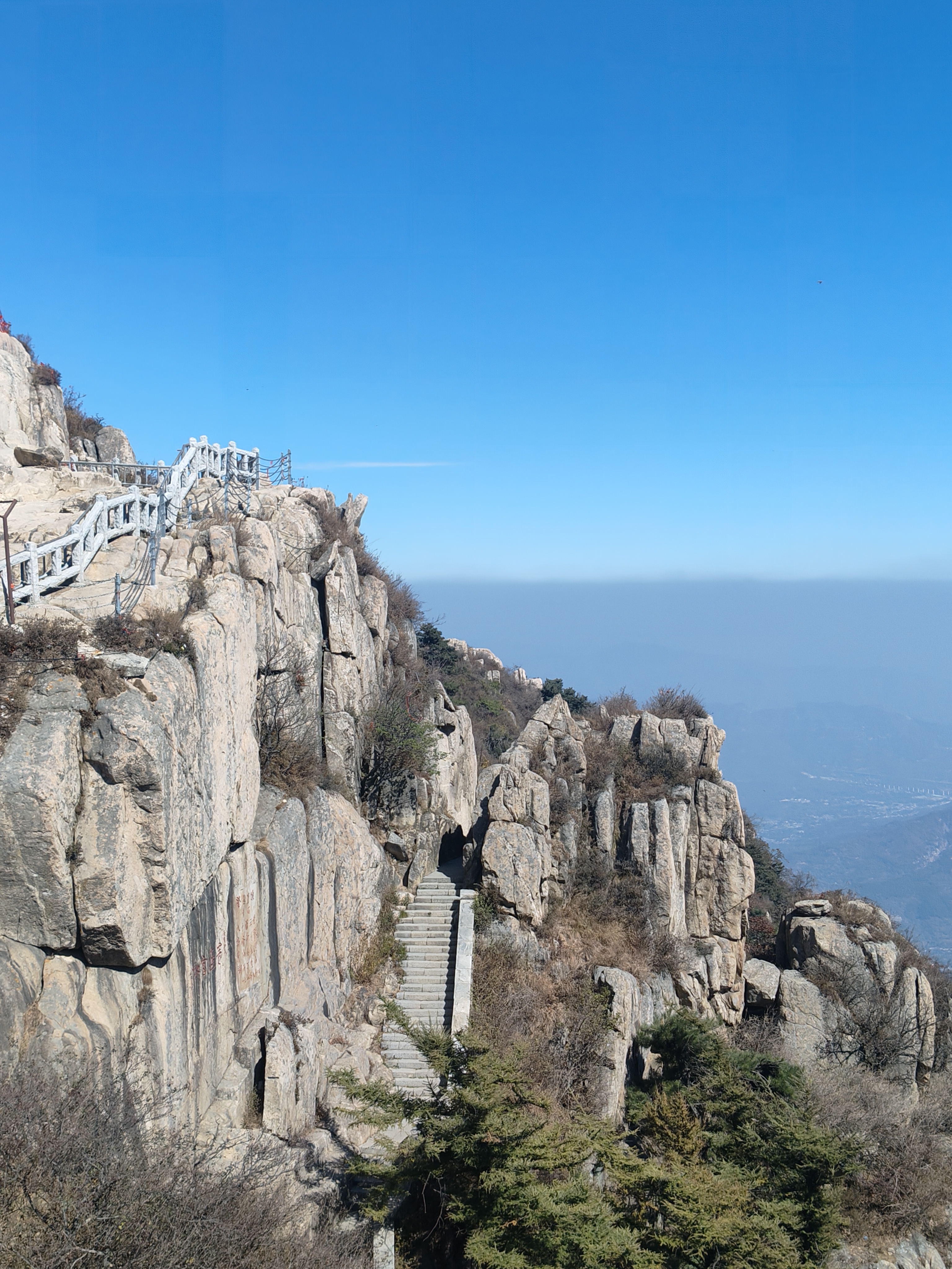 京东京造【初行】户外登山杖直柄伸缩拐杖防身防滑手杖爬山徒步装备 ST100 实拍图