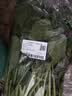 大菠菜300g 实拍图