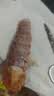 海速达皮皮虾 净重1斤15-22只 中大号满肉熟冻濑尿虾爬子虾婆姑 实拍图
