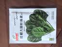 ldeal理想农业 红根大圆叶菠菜种子蔬菜种籽夏季阳台种菜高出芽率种子 实拍图