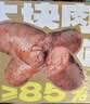白象烤肠 黑椒味300g/盒 猪肉烤肠 午餐肉火腿肠烧烤食材火山石热狗 实拍图